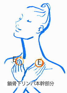 基本のリンパマッサージ2