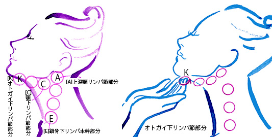 フェイスラインリンパマッサージ