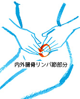 疲労回復のための内外腸骨(お腹)リンパマッサージ