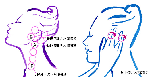 心地よい快適睡眠を誘う 2人でするリンパドレナージュ リンパマッサージ