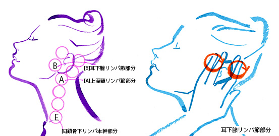 リラックスのためのリンパドレナージュマッサージ