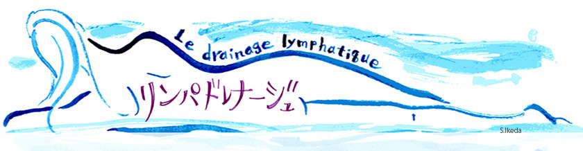 リンパドレナージュの方法と効果 各マッサージの方法をステップごとにイラスト付きで解説