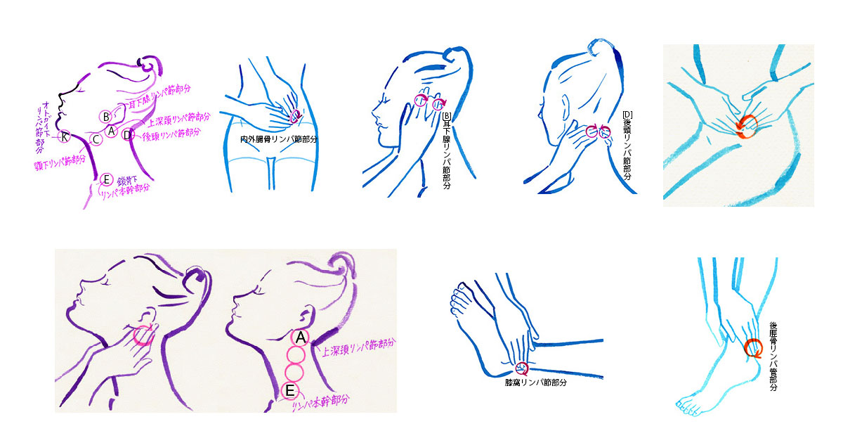 リンパドレナージュの方法と効果 各マッサージの方法をステップごとにイラスト付きで解説