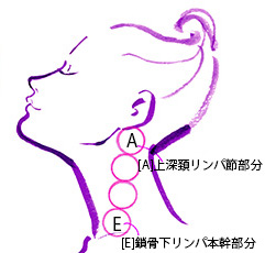 快適睡眠リンパドレナージュ