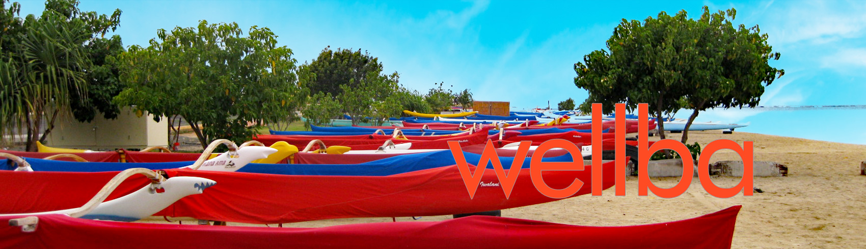 wellba_logo