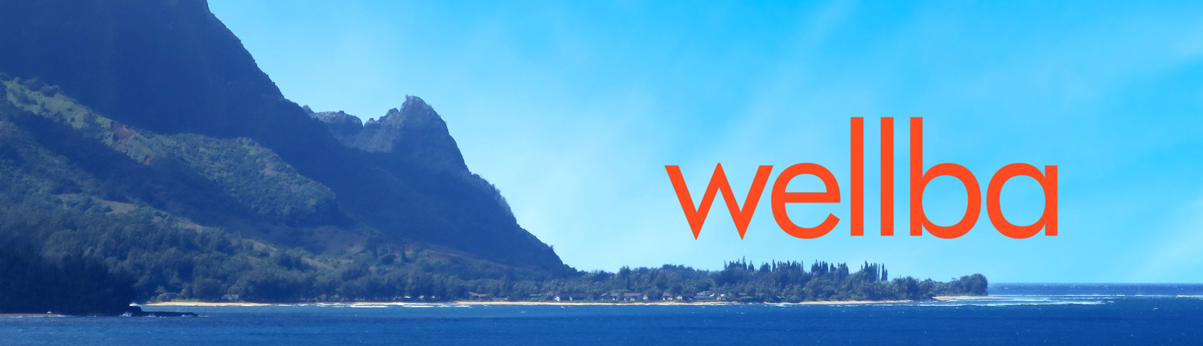 wellba_logo