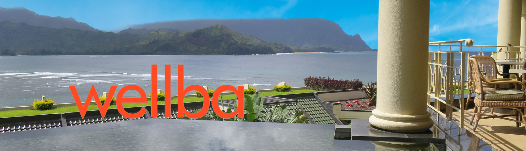 wellba_logo