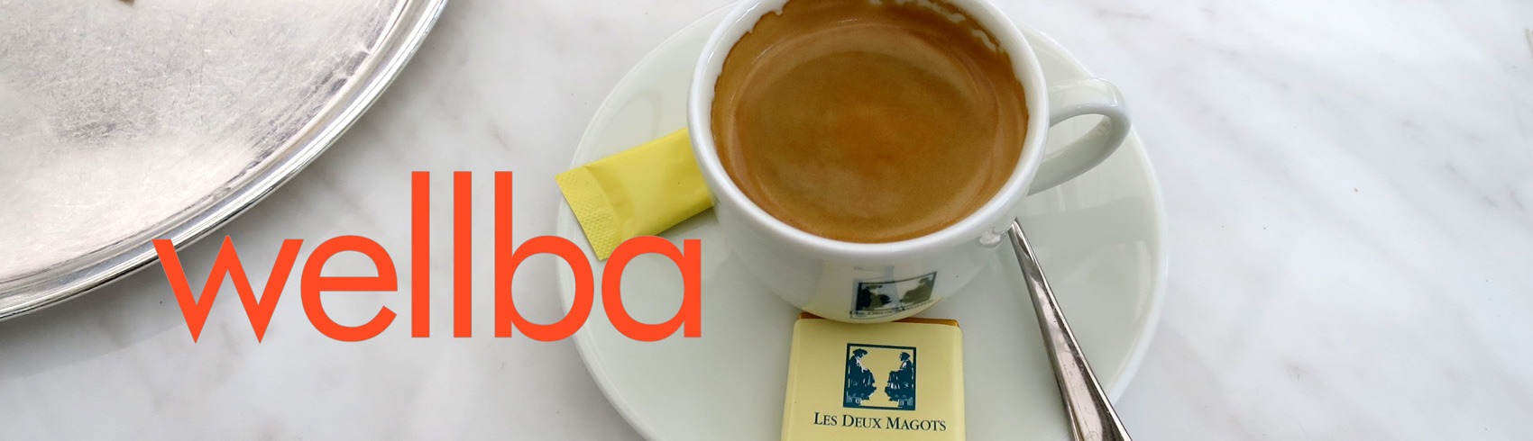 wellba_logo