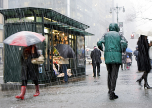 雨のニューヨーク