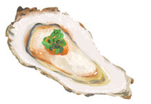 牡蠣と絶妙なコンビ、うま味成分相乗効果のモノとは? oyster