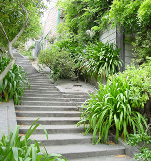 サンフランシスコの街の階段